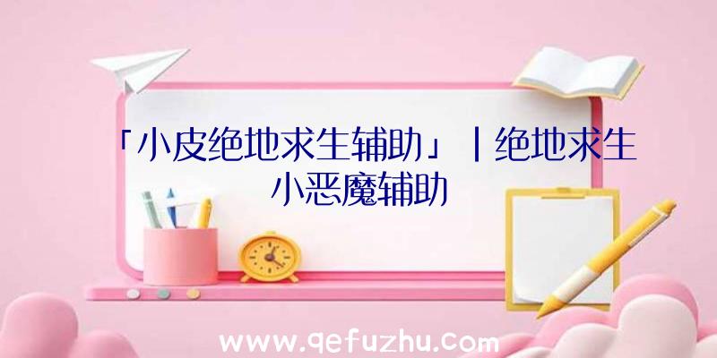 「小皮绝地求生辅助」|绝地求生小恶魔辅助